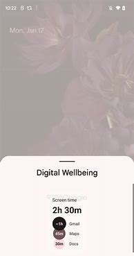 Image result for Digital Well-Being Widget