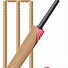 Image result for Cricket ClipArt