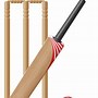 Image result for Cricket for Kids