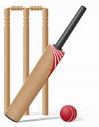 Image result for Cricket Tools