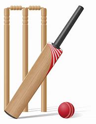 Image result for Cricket Pitch Clip Art