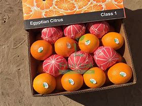 Image result for Orange Valencia Egypt