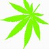 Image result for Marijuana Leaf Logo