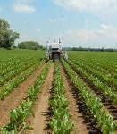 Image result for Farming Robots