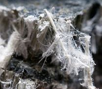 Image result for Asbestos Microscope
