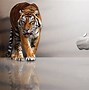 Image result for Mac OS X Tiger Desktop