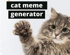 Image result for Cute Cat Meme Generator