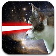 Image result for Cat Shooting Lasers