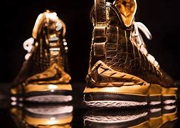 Image result for LeBron James Golden Shoes