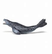Image result for Leopard Seal Bath Toy