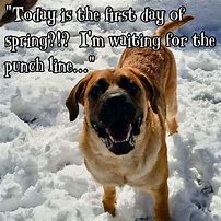 Image result for Waiting Funny Quotes