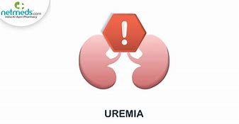 uremia 的图像结果