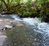 Image result for freshwater biome