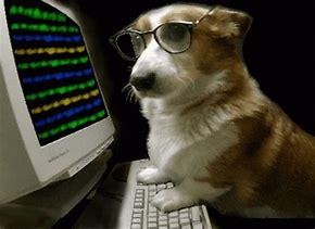 Image result for Dog Desktop