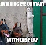 Image result for Avoid Eye Contact Meme