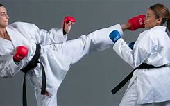 Image result for Karate Kick Martial Arts