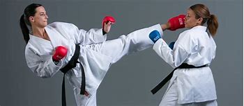Image result for Karate Kick
