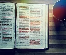 Image result for Can You Read the Whole Bible in a Day