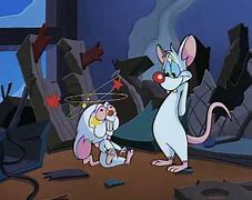 Image result for Pinky and the Brain Christmas