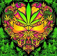 Image result for Trippy Weed Drawings Pencil