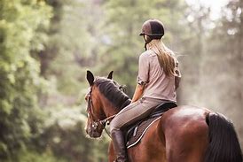 Image result for Girl Jockey On Horse Shutterstock