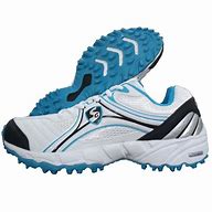 Image result for Zingaro Cricket Shooes
