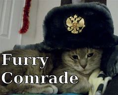 Image result for Russian Cat Hat Meme