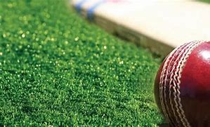 Image result for Jute Field Cricket