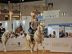 Image result for Dubai Personal Horse Farm