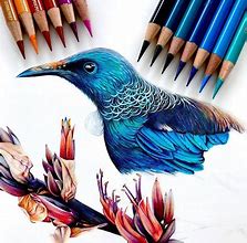 Image result for Colored Pencil Art Amazing