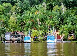Image result for Intenselle French Guiana