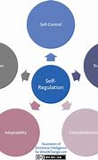 Image result for Self Regulation in Emotional Intelligence