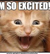 Image result for So Excited Hot Meme