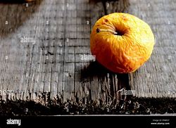 Image result for Wrinkled Apple Fruit in Box