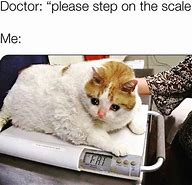 Image result for You Are Fat Cat
