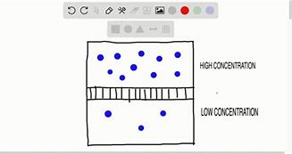 Image result for Adsorption and Absorption