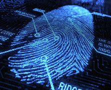 Image result for Burglary Fingerprint Woman