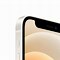 Image result for iPhone 12 Dual Sim