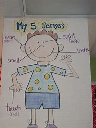 Image result for 5 Senses Anchor Chart