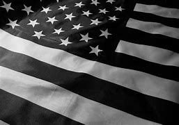 Image result for USA Flag Black White