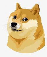 Image result for Doge Meme Shibe Dog
