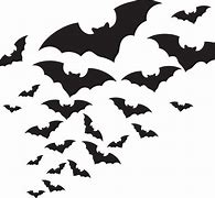 Image result for Bat Vector