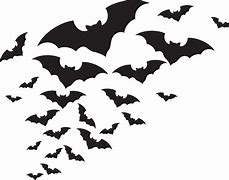 Image result for Bat Vector