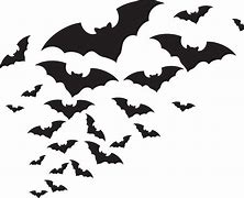 Image result for Bat Vector Stock Image