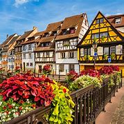 Image result for Alsace