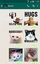 Image result for Cat Phone Whatsapp