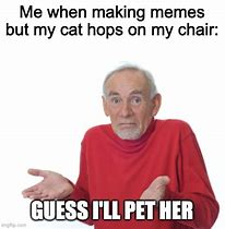 Image result for White Cat in Chair Meme