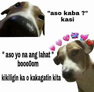 Image result for Funny Pinoy Dog Shock