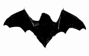 Image result for National Bat Appreciation Day