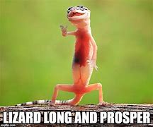 Image result for Lizard Brain Meme